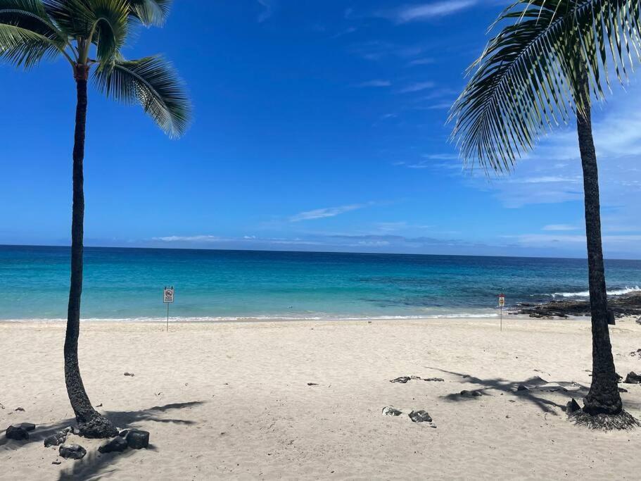 King Palm Ocean Views King Bed Walk To Free Wifi Parking Bbq *